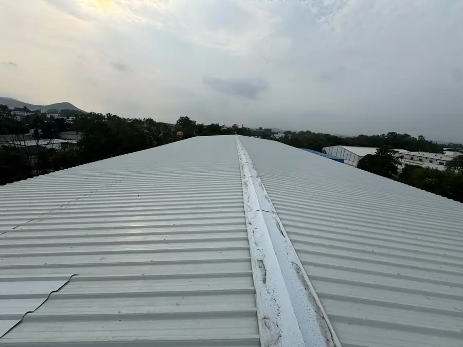 Long-span roof sheeting run over a fabricated steel frame